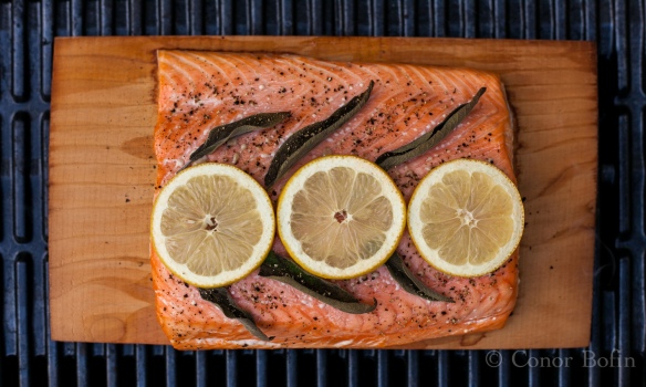 Cedar Plank Salmon (1 of 1)-4