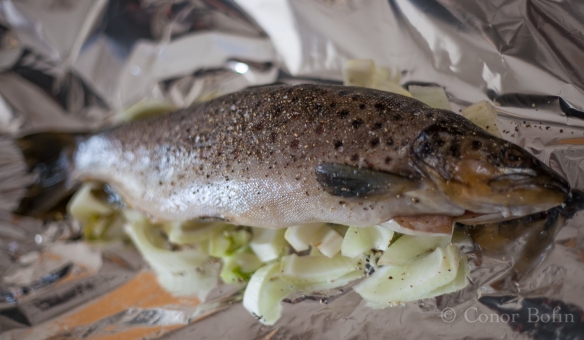 Steamed trout with fennel (1 of 13)